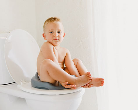 Bumbo Toilet Trainer , Tuvalet Adaptörü ve Portatif Lazımlık (Cool Grey)